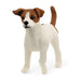 schleich 13916 Jack Russell Terrier, from 3 years, FARM WORLD - figurine, 5 x 2 x 4 cm, Brown,white