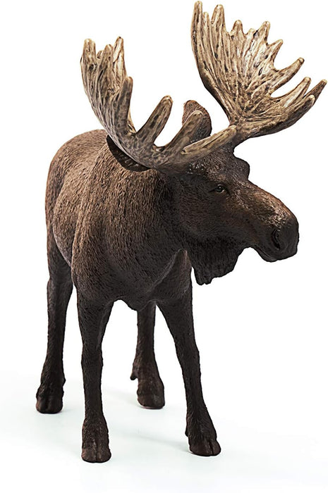 Schleich 14781 Moose Bull Wild Life Toy Figurine from 3 years
