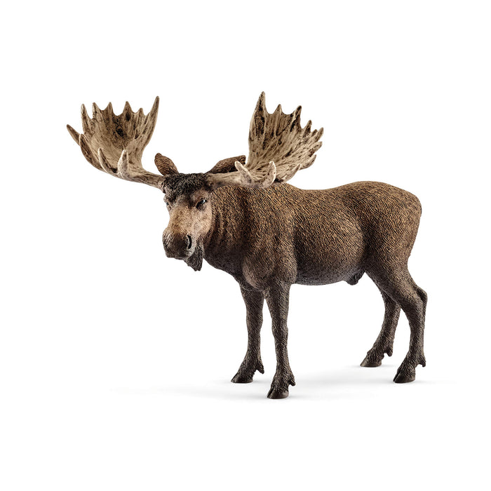 Schleich 14781 Moose Bull Wild Life Toy Figurine from 3 years