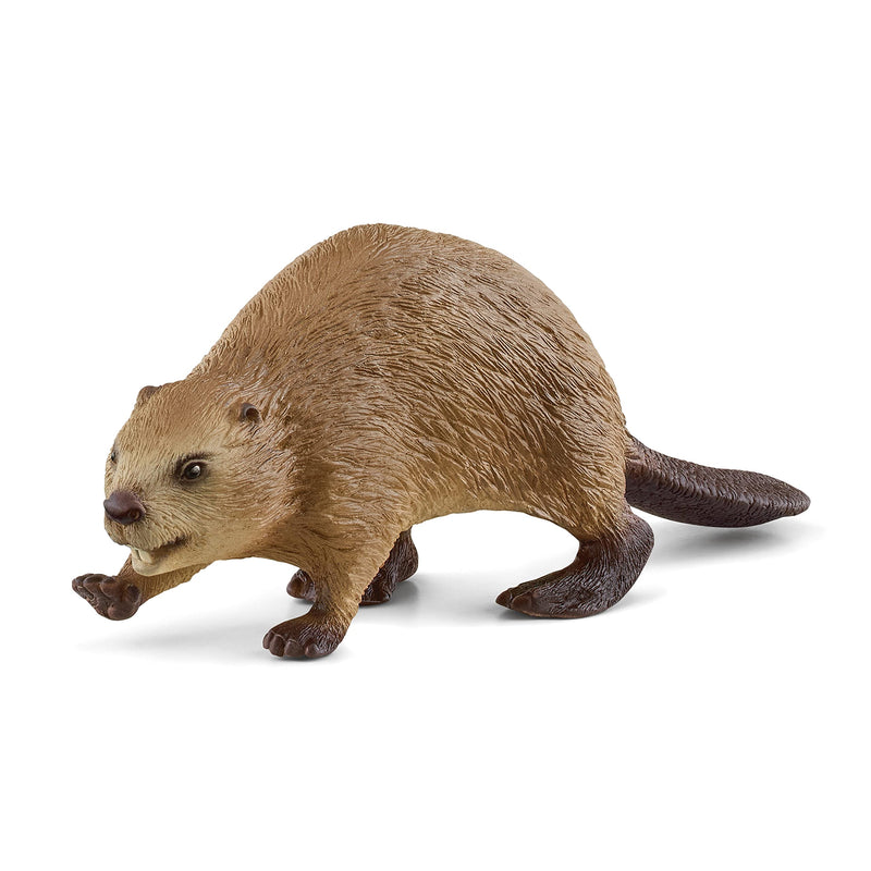 schleich 14855 Biber, ab 3 Jahren, WILD LIFE - Spielfigur, 10 x 3 x 3 cm, Orange