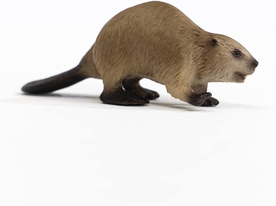 schleich 14855 Biber, ab 3 Jahren, WILD LIFE - Spielfigur, 10 x 3 x 3 cm, Orange