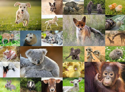 Ravensburger 13353 Baby Animals Jigsaw Puzzle for Kids Age 8 Years Up-200 Pieces XXL