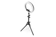 DIGITUS LED Ring Light 10 Inch Tripod Stand Phone Holder Adjustable tripod stand