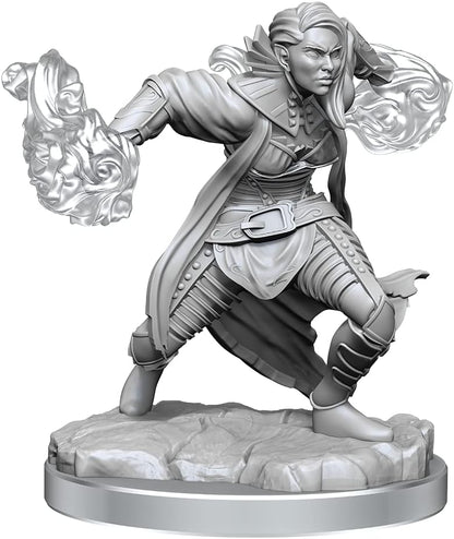 Wizkids D&D Nolzurs Marvelous Half-Elf Warlock Miniatures