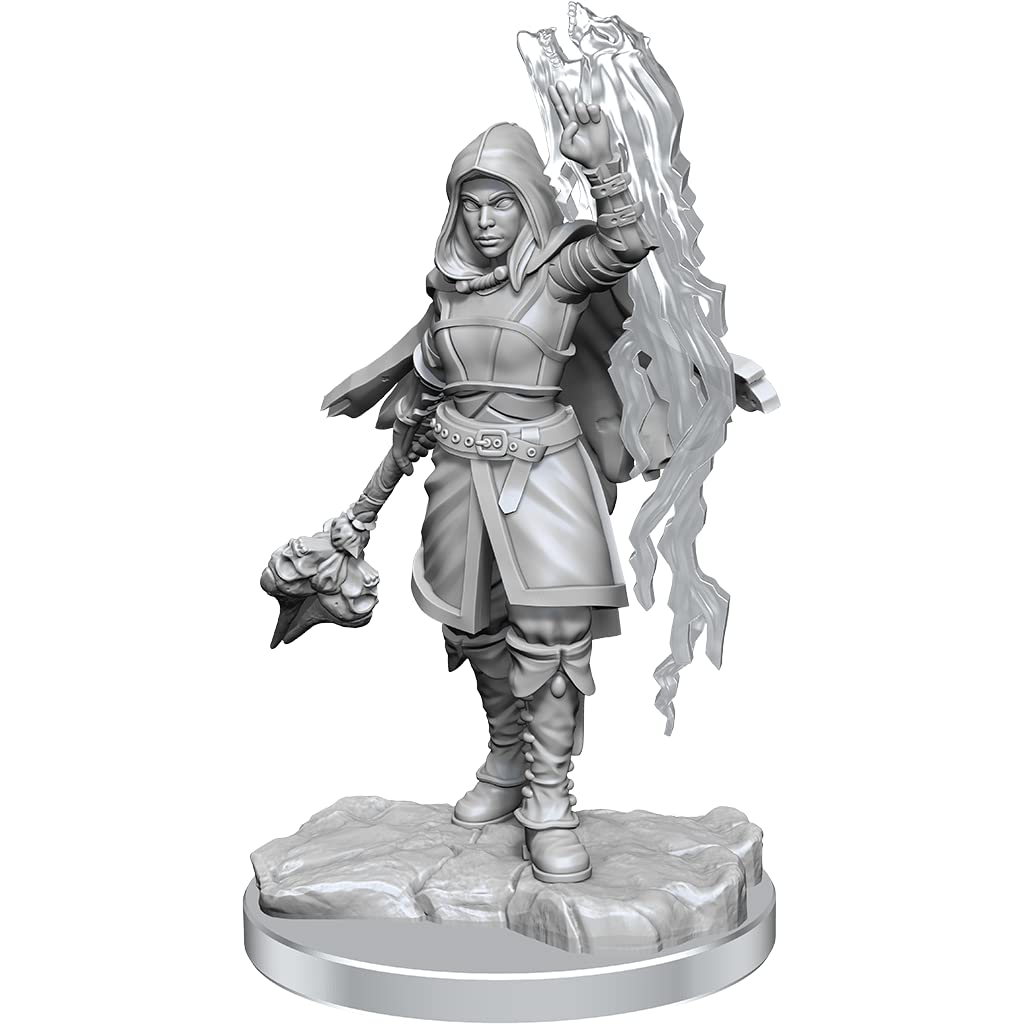Wizkids D&D Nolzurs Marvelous Half-Elf Warlock Miniatures
