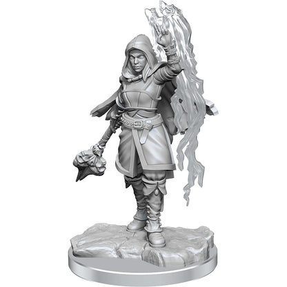 Wizkids D&D Nolzurs Marvelous Half-Elf Warlock Miniatures