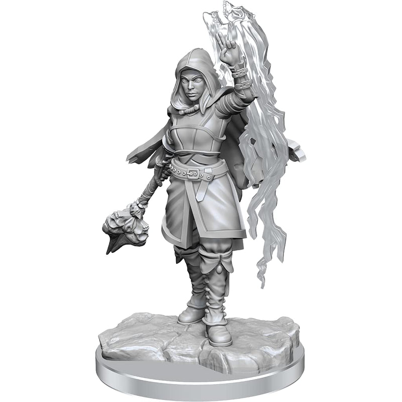 Wizkids D&D Nolzurs Marvelous Half-Elf Warlock Miniatures