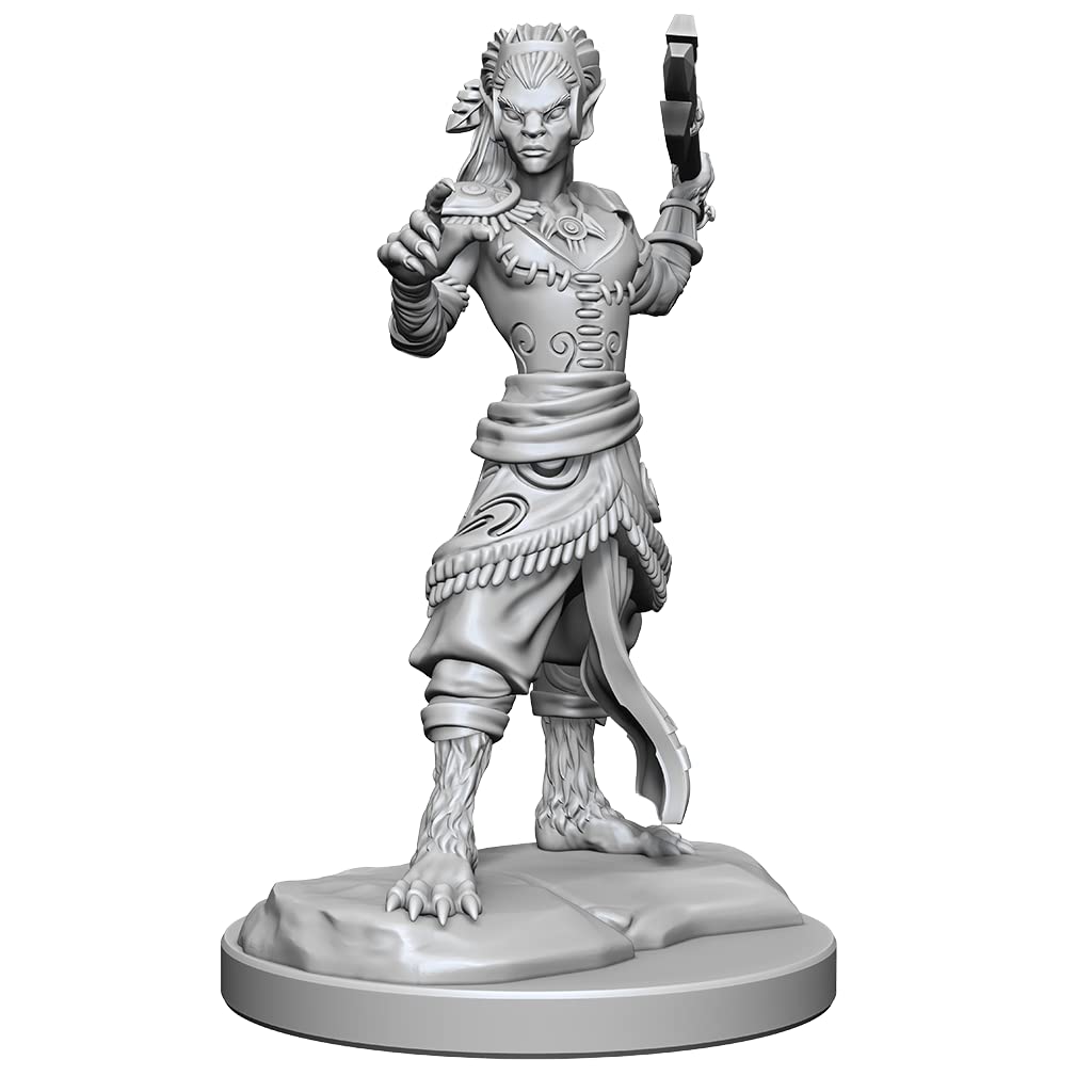 WizKids D&D Nolzur's Marvelous Miniatures: Shifter Fighter