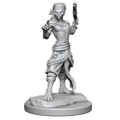 WizKids D&D Nolzur's Marvelous Miniatures: Shifter Fighter