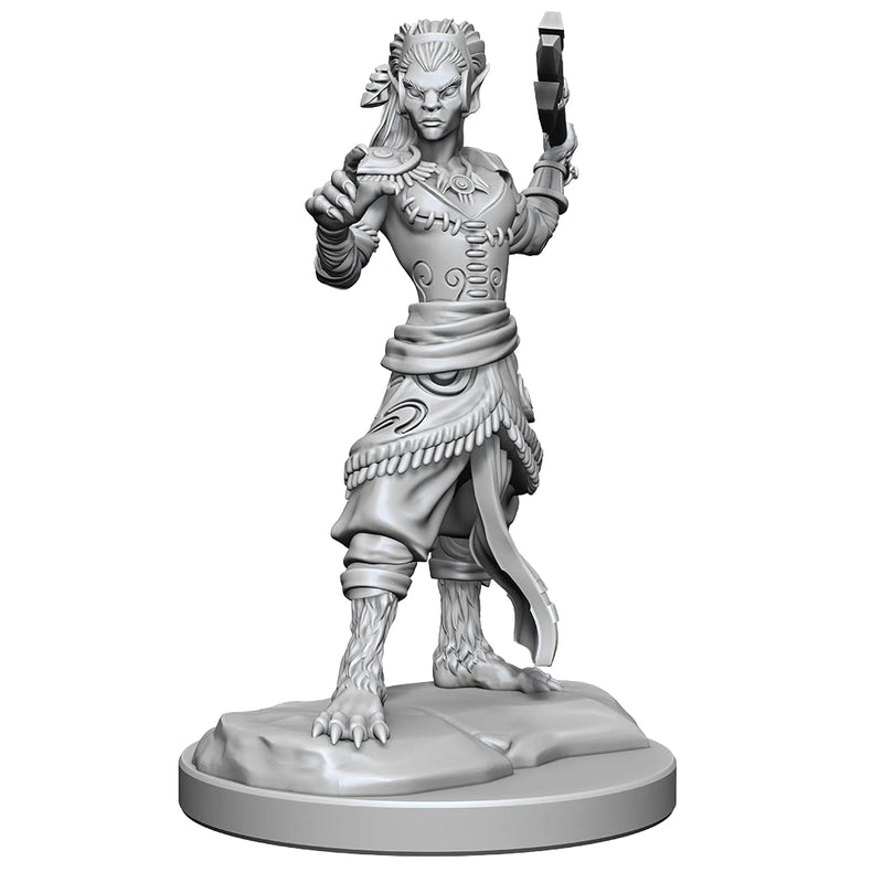 WizKids D&D Nolzur's Marvelous Miniatures: Shifter Fighter