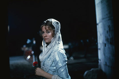 Daisy miller