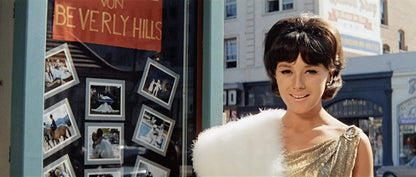 Die Tote von Beverly Hills - ungekürzte Kinofassung (erstmals in HD neu abgetastet plus Bonusmaterial)