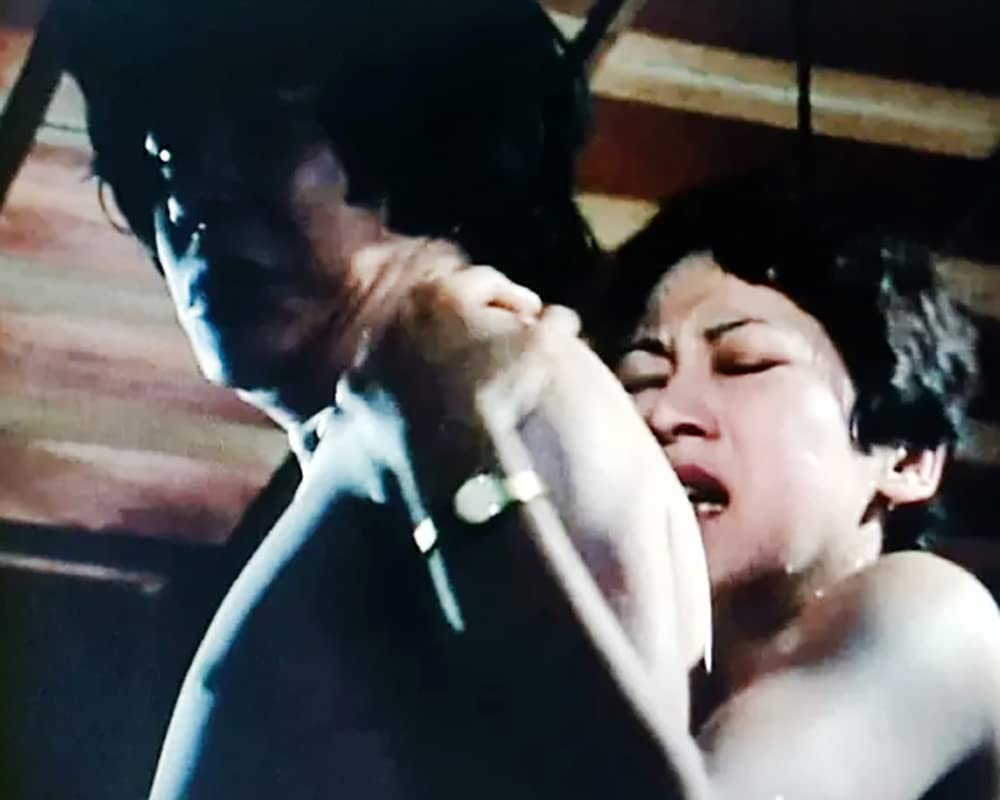 Chefinspektor Kaga - Flughafenpolizei Tokio, Vol. 1 / 13 Folgen der japanischen Kult-Krimiserie (Pidax Serien-Klassiker)