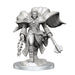 WizKids D&D Nolzur's Marvelous Miniatures: Aasimar Cleric Male