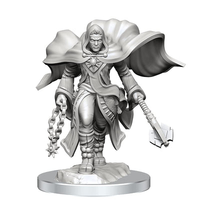 WizKids D&D Nolzur's Marvelous Miniatures: Aasimar Cleric Male