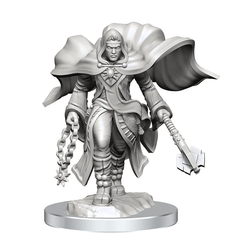 WizKids D&D Nolzur's Marvelous Miniatures: Aasimar Cleric Male