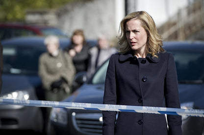 Coffret the fall, saison 1