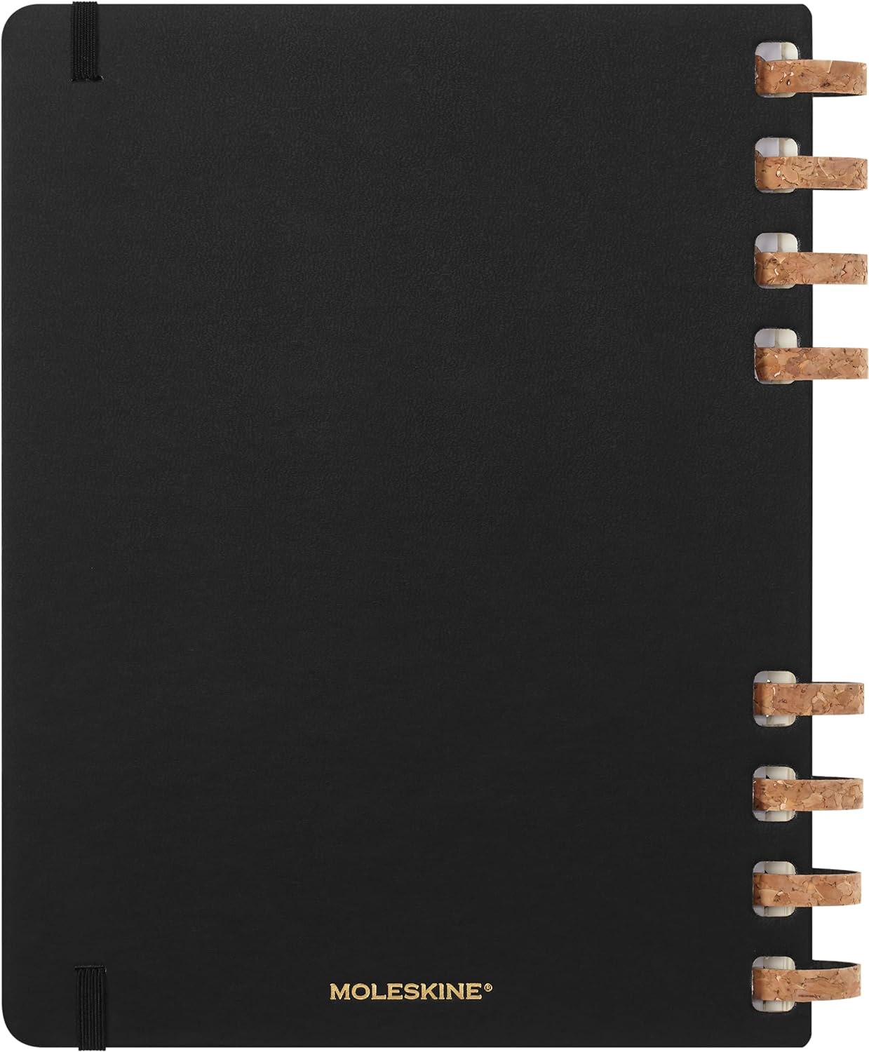 Moleskine Academic Monthly Planner 2023 -2024, 12-Month Weekly and Monthly Diary, University Agenda with Hard Cover, Size XL 20 x 25 cm