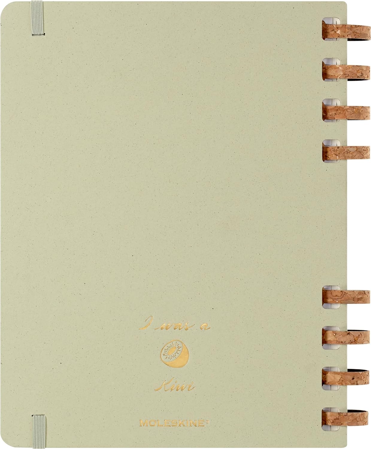 Moleskine Akademischer Monatsplaner 2023 -2024, 12-Monats-Wochen-und Monatsplanner, Universitätskalender mit Festem Einband, Größe: XL 20 x 25 cm