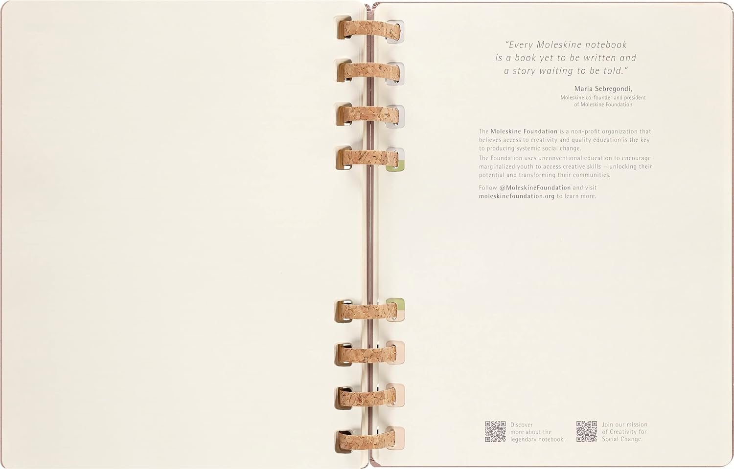 Moleskine Academic Monthly Planner 2023 -2024, 12-Month Weekly and Monthly Diary, University Agenda with Hard Cover, Size XL 20 x 25 cm