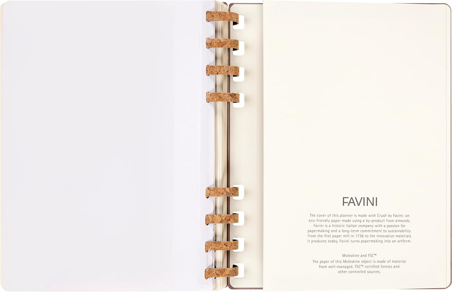Moleskine Academic Monthly Planner 2023 -2024, 12-Month Weekly and Monthly Diary, University Agenda with Hard Cover, Size XL 20 x 25 cm