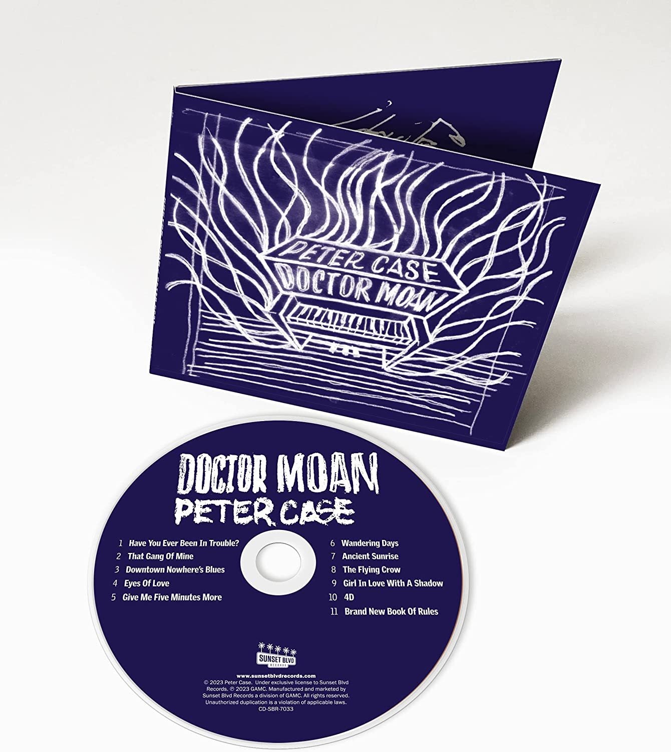 Doctor Moan