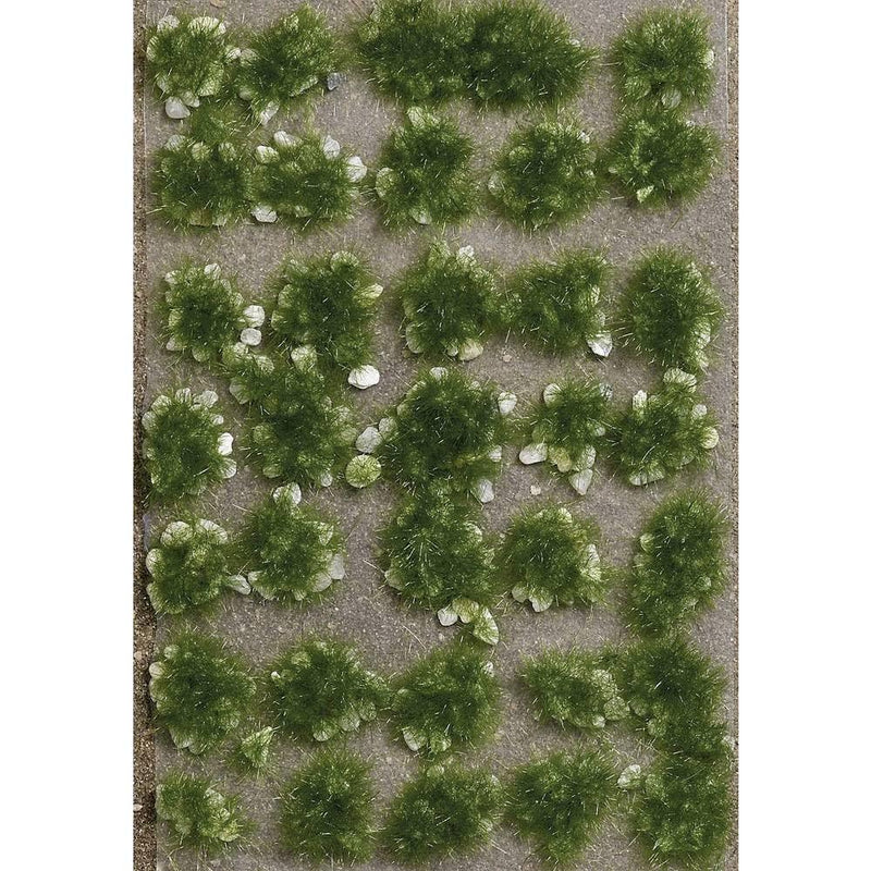 3557 grass tufts with stones summer