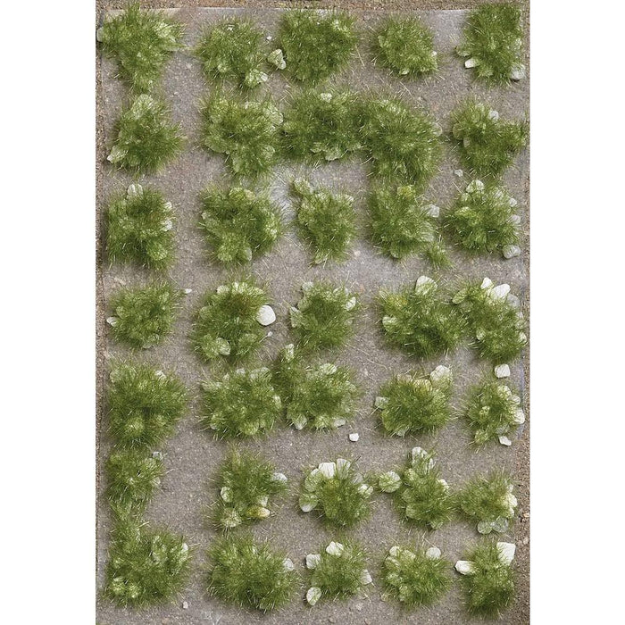 3558 grass tufts with stones, late summer