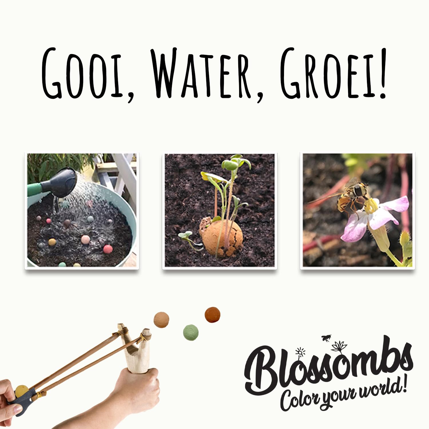 Blossombs - Eierdoosje - 6 bloembommetjes