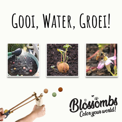 Blossombs - Eierdoosje - 6 bloembommetjes