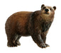 Bullyland- Brown Bear 69397-Figura de Juego, Oso Pardo, Aprox. 8 cm de Altura, Figura Pintada a Mano, sin PVC, para Que los niños jueguen de Forma imaginativa, Multicolor (Bullyworld 69397