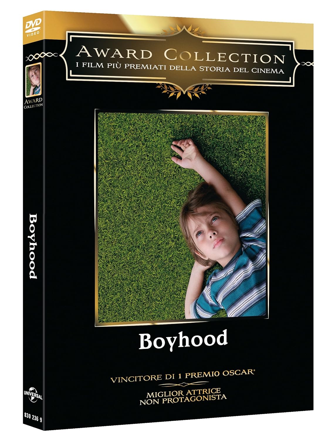 Boyhood