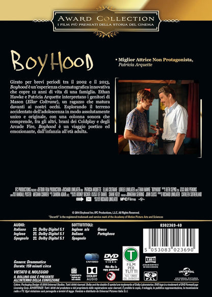 Boyhood