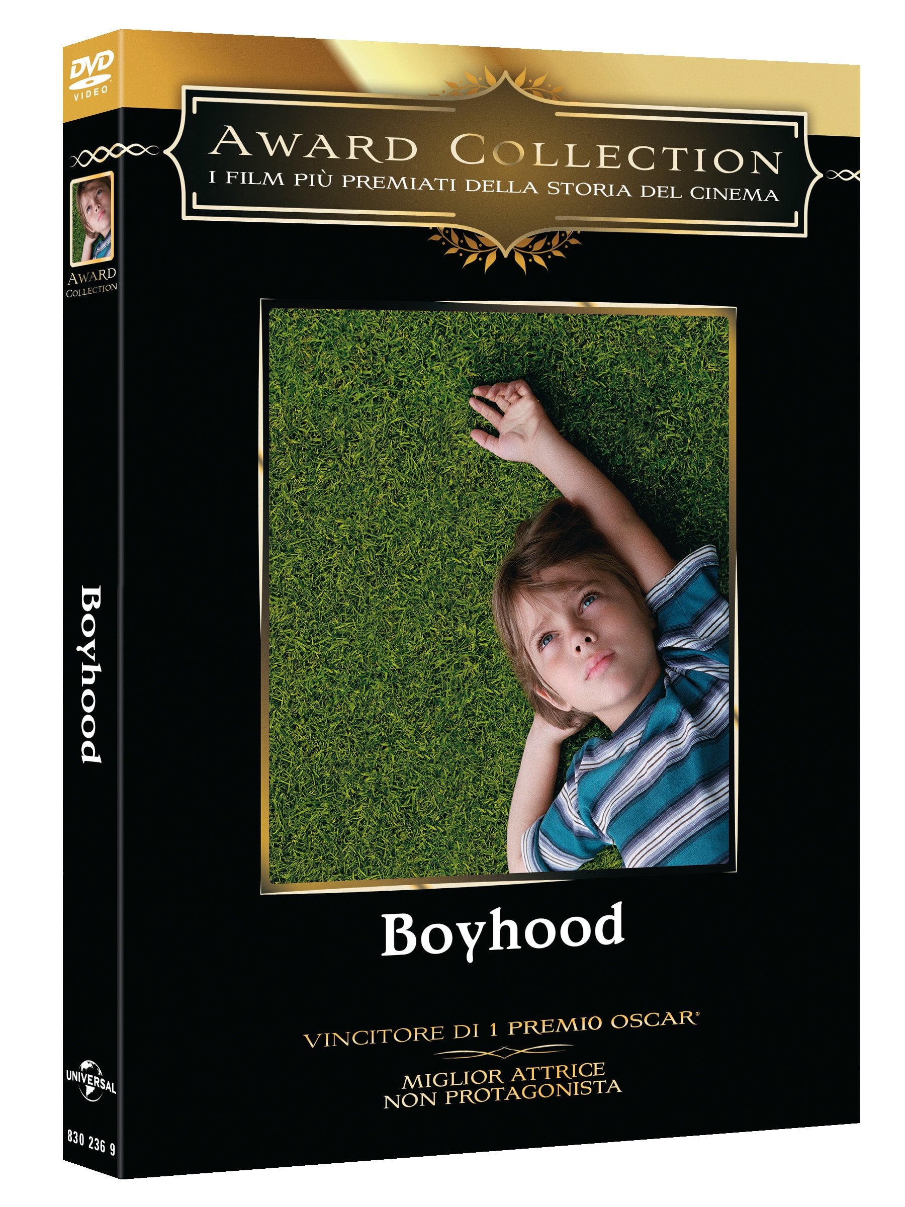 Boyhood