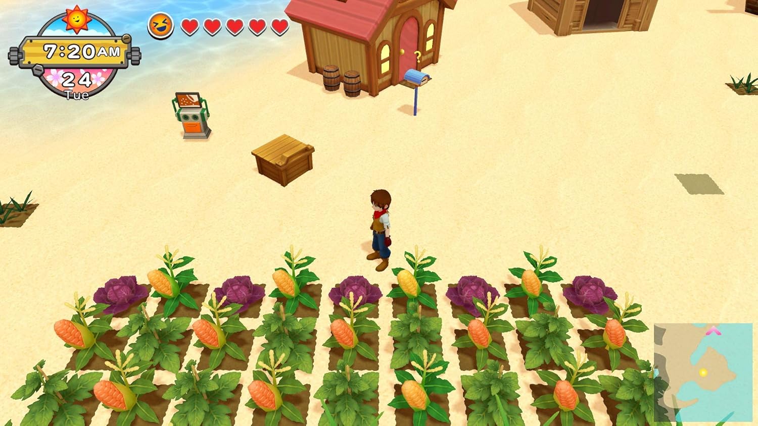 Videogioco Nintendo