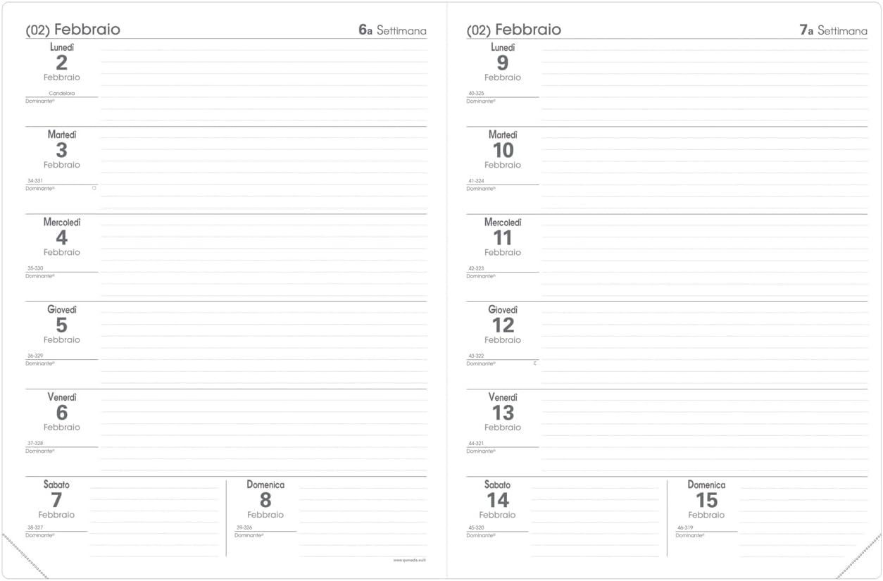 Quo Vadis 62604120MQ Year 2020 Teacher's Agenda IT Club - 21x27cm - 2 Weeks on 2 Pages - August/Lugl