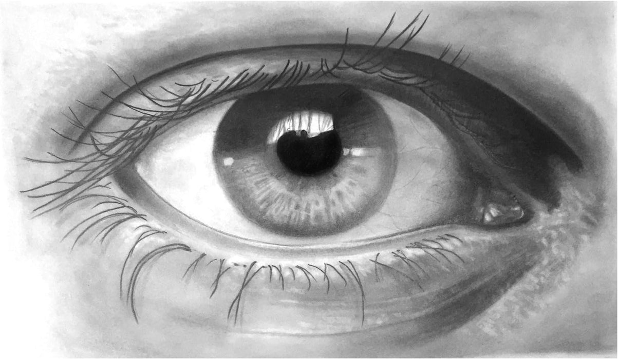 Faber Castell Gold 1221 HB Pencil - Black (Pack of 12