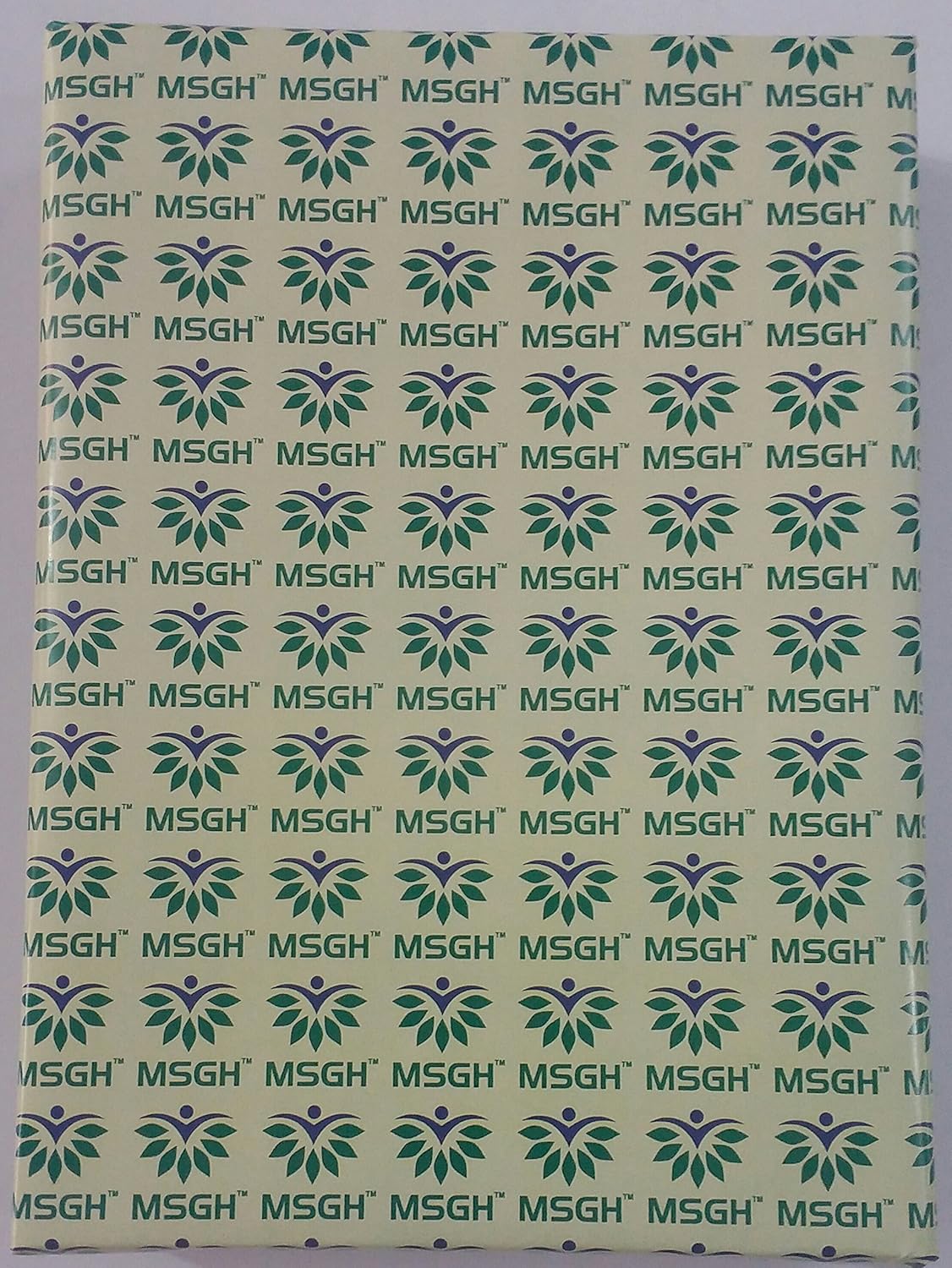 Faber-Castell Ecco Pigment crayon mécanique - crayons mécaniques (Gris, 0,5 mm