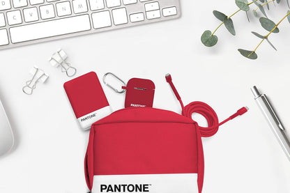 Celly PTBPK000P Pantone Electrical Travel Organizer, Internal Pockets, Small, Pink