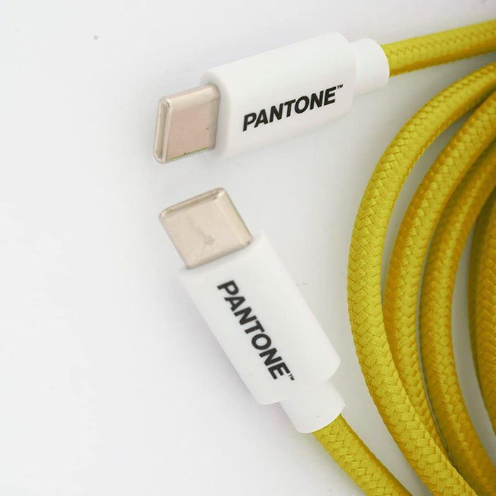 Celly, Cavo USB-C a USB-C con Connettore Reversibile per Ricarica Veloce, Lunghezza 1,5 m, Connettori in PVC e Rivestimento in Nylon Anti-piegamento, Carica e Trasferimento Dati Rapidi