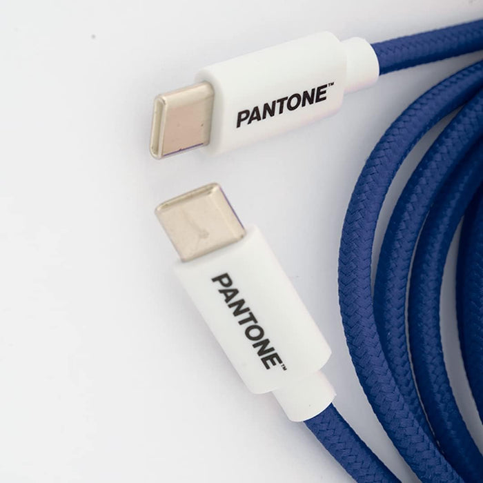 Celly, USB-C to USB-C Cable with Reversible Connector for Fast Charging, 1.5m Length, PVC Connectors and Anti-Bend Nylon Coating, Fast Charge and Data Transfer, Blue