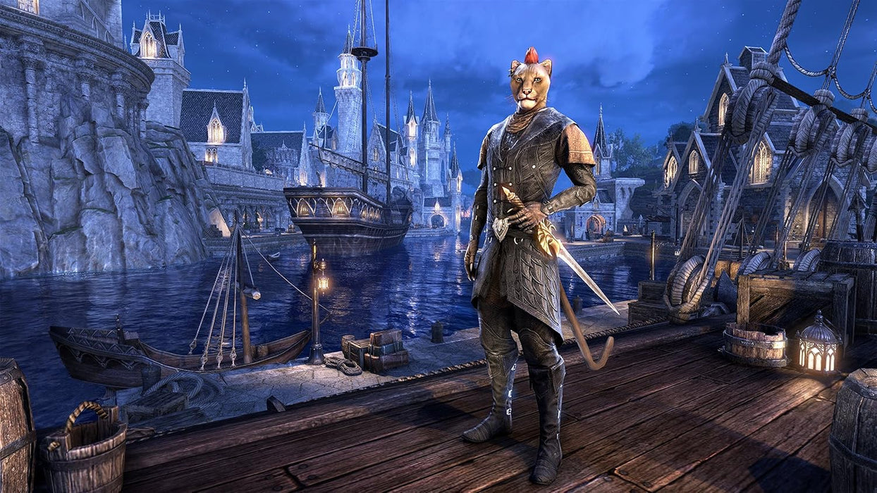 The Elder Scrolls Online - Summerset - PC PC Standard disc