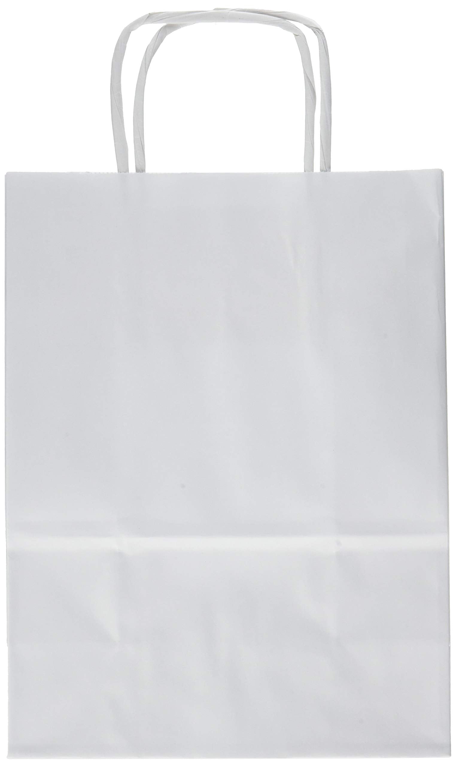 Rex Sadoch SDS16BIA Paper Bags with Twisted Handles, Pack of 25, White