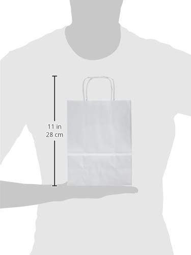 Rex Sadoch SDS16BIA Paper Bags with Twisted Handles, Pack of 25, White