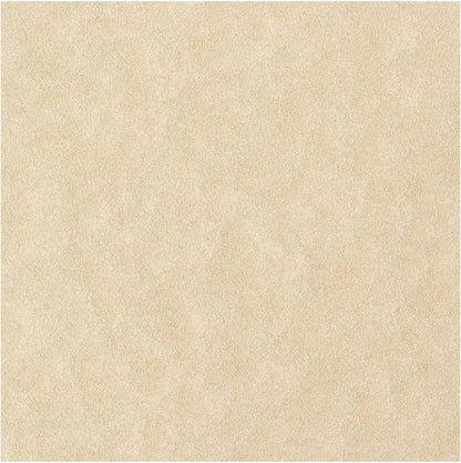 Favini A69U084 Calligraphy Pergamena Liscio, 21 x 29.7 cm, sabbia