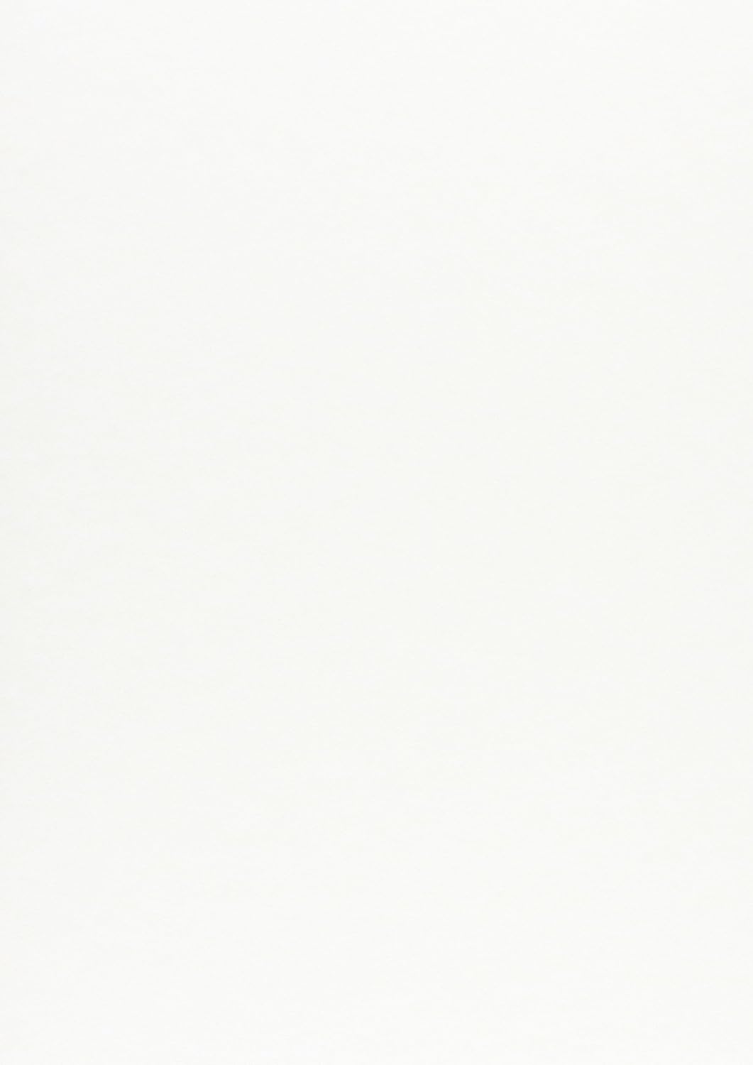 Favini A69Q084 Natural Paper 50 A4 Printer Paper