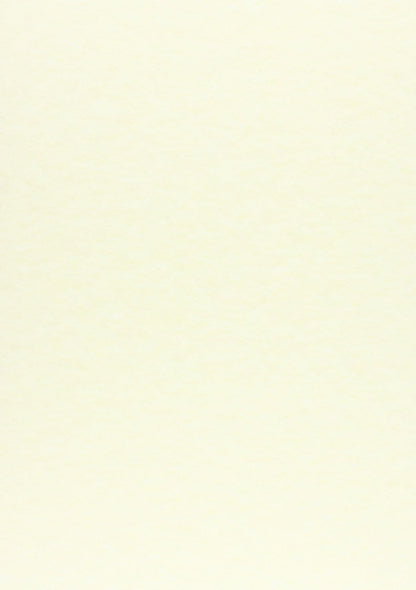 Favini Calligraphy A692084 - Papel pergamino (A4, liso, 50 unidades