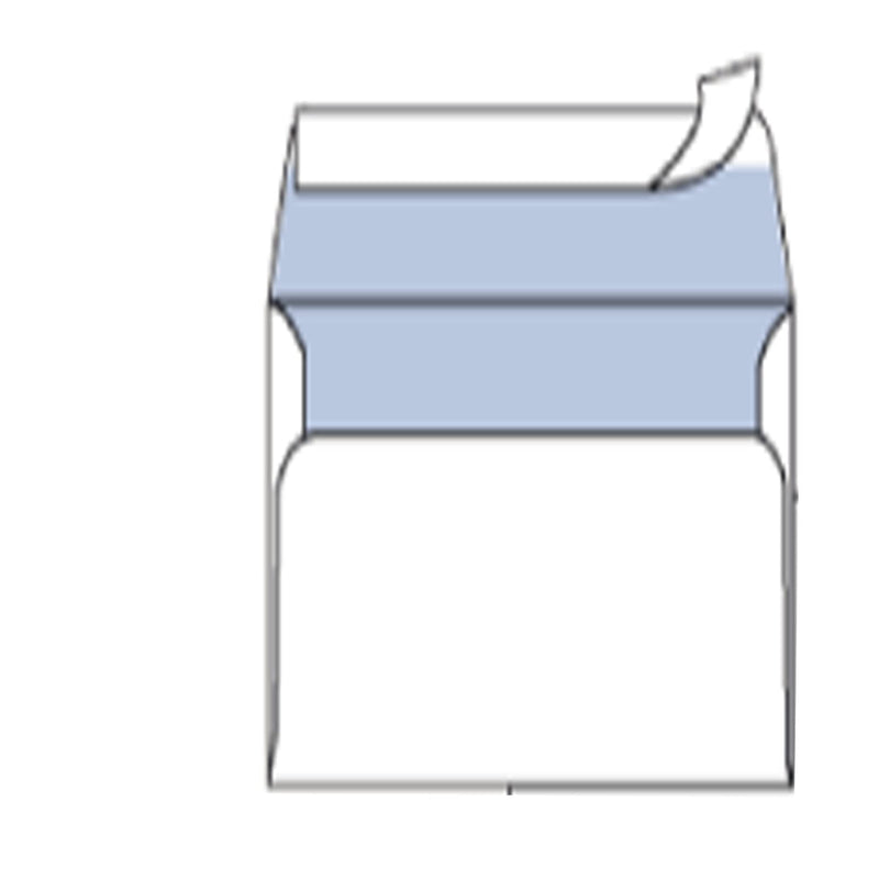 BLASETTI – 25 Pack