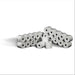 Rotomar AMG0570D06012B Rotolo Calcolatrice, Cellulosa Fibra Corta, 5.7 cm-35M-12 mm-60 mm, Confezione da 10