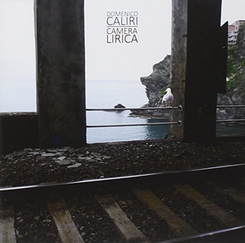 Camera Lirica